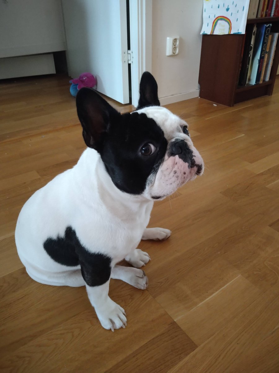 Maria Wiman tweet media