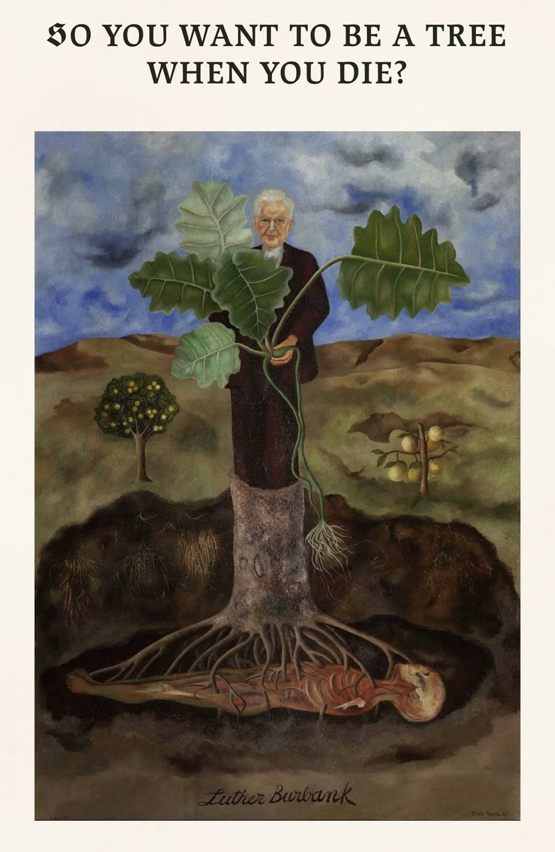 So, You Want to Be a Tree When You Die? 

#EarthDay #GreenDeathWeek 
orderofthegooddeath.com/resources/gree…