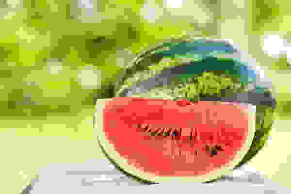 lephiador's tweet photo. бля сюда же чё-то постить надо
внимание: арбуз https://t.co/mcATpwm9tA