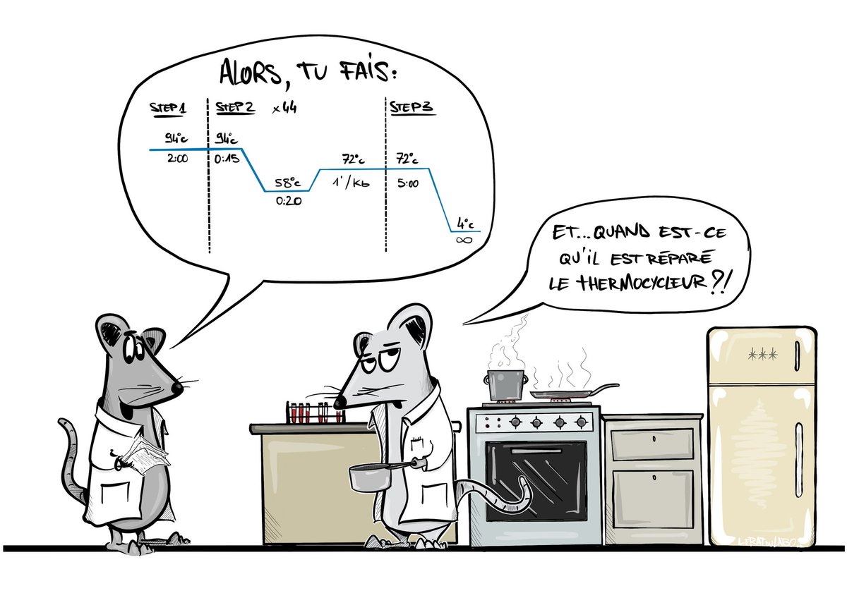 leratdulabo's tweet photo. Une analyse, c'est un peu comme une suivre une recette de cuisine...
#leratdulabo #techdelabo #science #illustration #BD #analyse #thermocycleur #cuisinefacile #pcr https://t.co/w90p5OcRyp