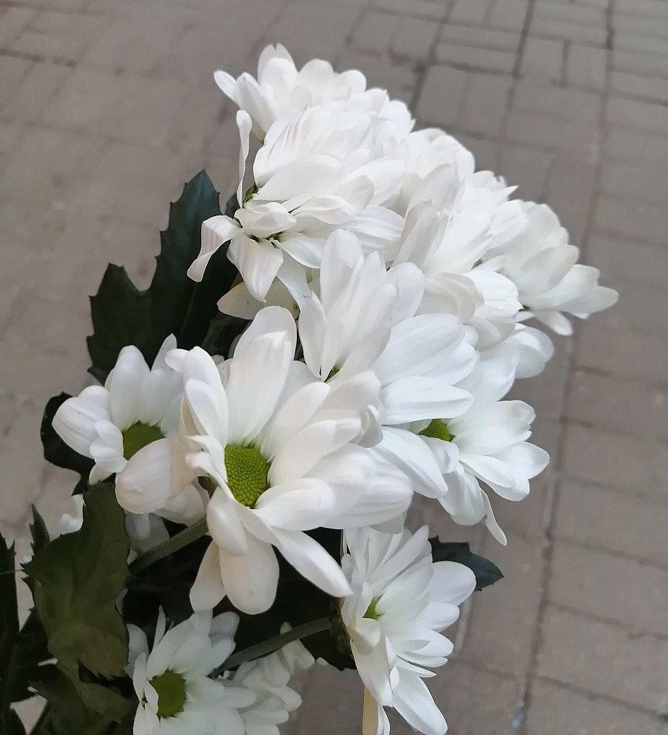 wildflowor's tweet image. Покойся с миром, Мунбин 😔🕯️
Rest in peace, Moonbin 💔

#ripmoonbin #moonbin #astro #aroha 🇷🇺
