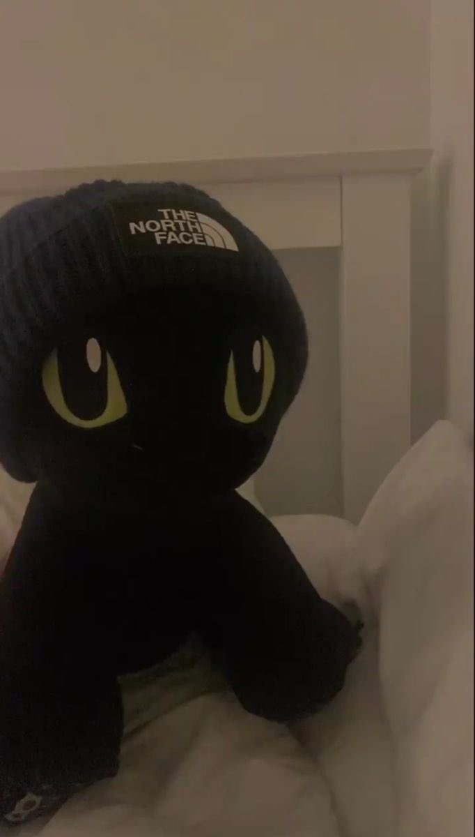 toothzothinkr's tweet photo. hats!! https://t.co/MObVBeaauA