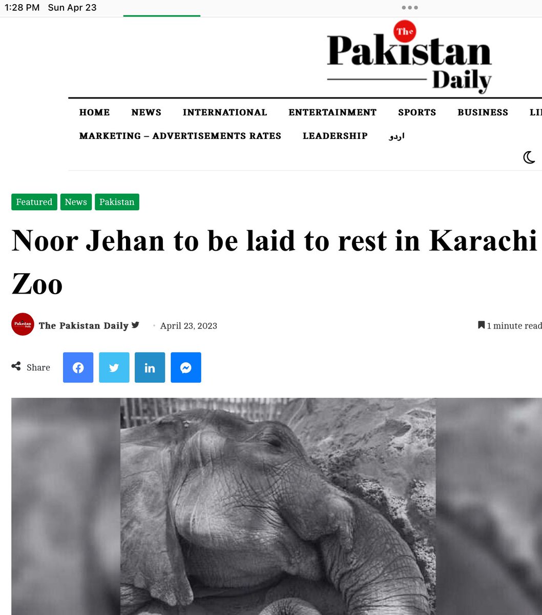 “Karachi Administrator Saifur Rehman on Sunday announced that Noor Jehan, a much-loved African elephant, will be laid to rest within the zoo’s grounds.”

#NoMoreSuffering #Sanctuary4Karachi3 #CloseKarachiZoo #RIPNoorJehan #CaptivityKills