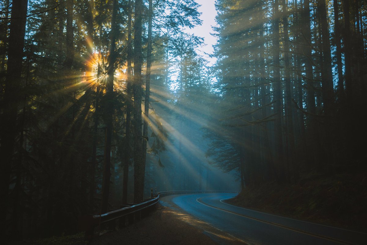 johncwingfield's tweet image. Winter evenings in the Cascades