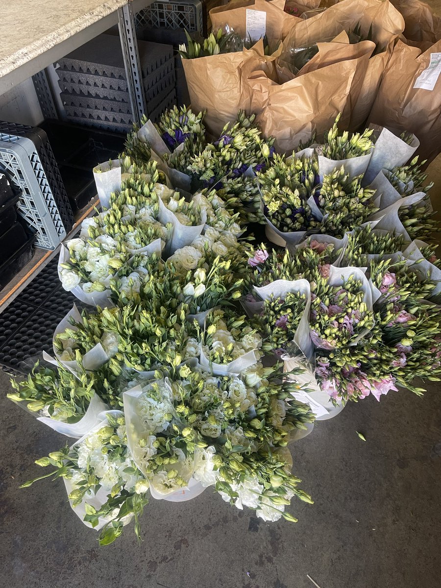 EverydayFlower's tweet photo. Our first look at what’s coming from our California Farms! #sunvalleyfloralfarms #everydayflowers https://t.co/pGOcmogUsJ