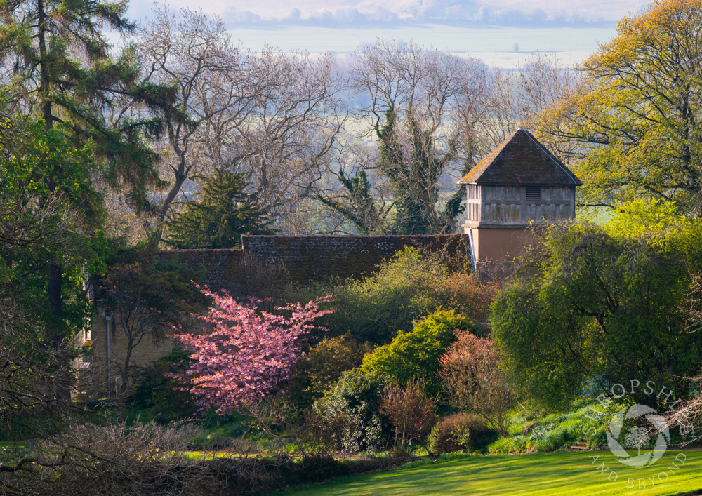 A beautiful spring day in the Corvedale, full of sunshine, birdsong and the bleating of sheep. The early-morning light was magical for this view across the gardens of Shipton Hall towards St James’ Church, which dates from the 12th century. #Shropshire bit.ly/2wrY5i4