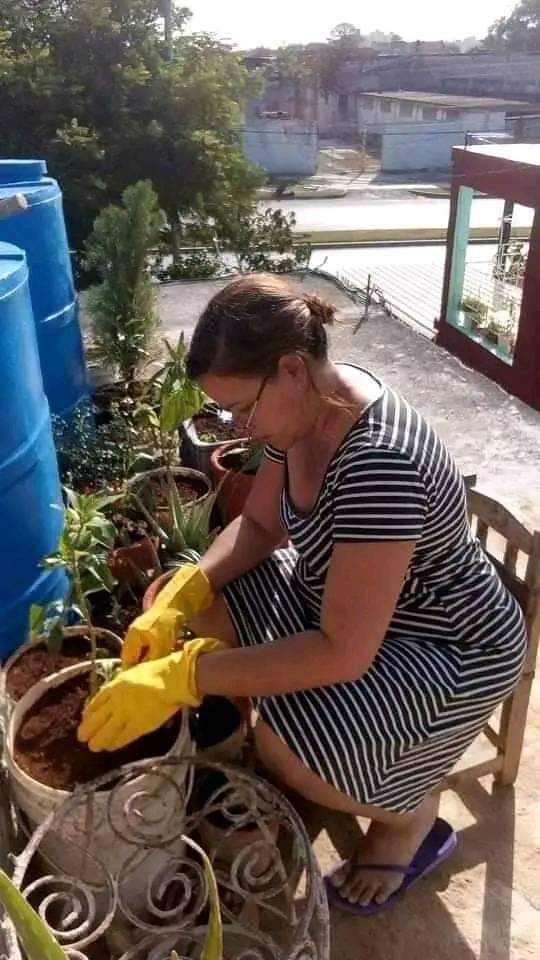 GHNordelo5's tweet photo. En saludo al #XCongresoCDR se fortalece el programa #CultivaTuPedacito de los #CDRCuba #Cuba #SomosDelBarrio https://t.co/Ma1SpLlDN1