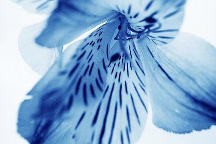 DXSYRO's tweet image. ͏͏ ͏͏͏ ͏͏  ͏͏ ͏͏͏ ͏͏ like ͏ ཻུ۪۪.     ͏   ⏜ ۫     crazy.⠀ ⠀⠀⠀⠀   ⋆  ࣪  ׅ       🤍       All my reflections, I can't even recognize.⠀ ⠀ ⠀                  
       永遠に,       /           U &amp;amp; I.⠀