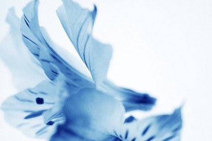 DXSYRO's tweet image. ͏͏ ͏͏͏ ͏͏  ͏͏ ͏͏͏ ͏͏ like ͏ ཻུ۪۪.     ͏   ⏜ ۫     crazy.⠀ ⠀⠀⠀⠀   ⋆  ࣪  ׅ       🤍       All my reflections, I can't even recognize.⠀ ⠀ ⠀                  
       永遠に,       /           U &amp;amp; I.⠀