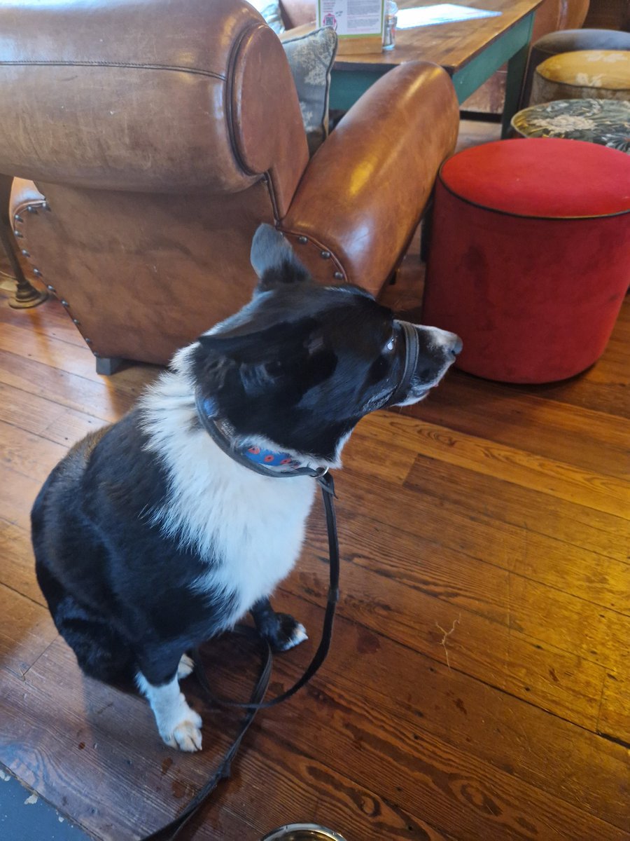 Lisa Nash tweet media