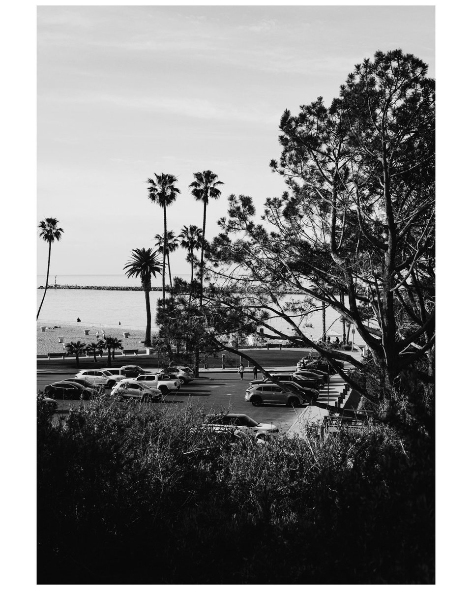 domiesann's tweet photo. Beach Day

#beachday #spring2023 
#sigmadp #monochrome #blackandwhite #lensculture #California #socal #theoc #bnw #picoftheday #sigmadp2q #beach #landscape #photography https://t.co/WSmS6ricb9