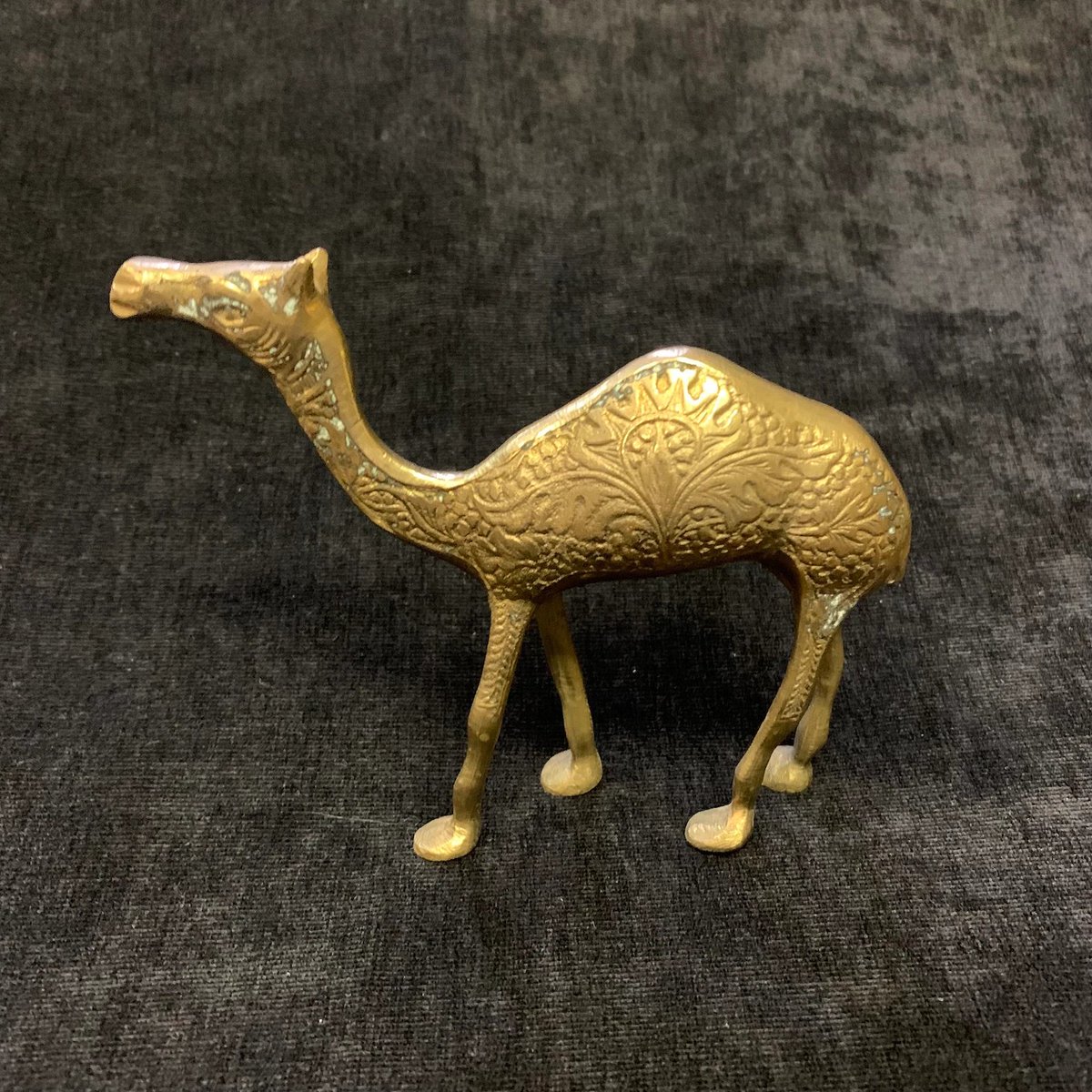 MiserableMagpie's tweet image. a golden camel
safari across my desk
a strange paperweight

#haiku #haikufeels
