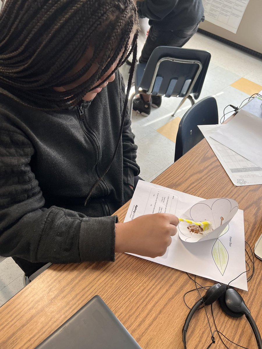 4th gr Ss explore plant reproduction in this hands-on Mystery Science lesson. Their bees came out great! #plantreproduction #lifescience #sciencevocabulary <a href="/BrowardElem/">Broward Elementary</a> <a href="/Gifted_HCPS/">GiftedHCPS</a>