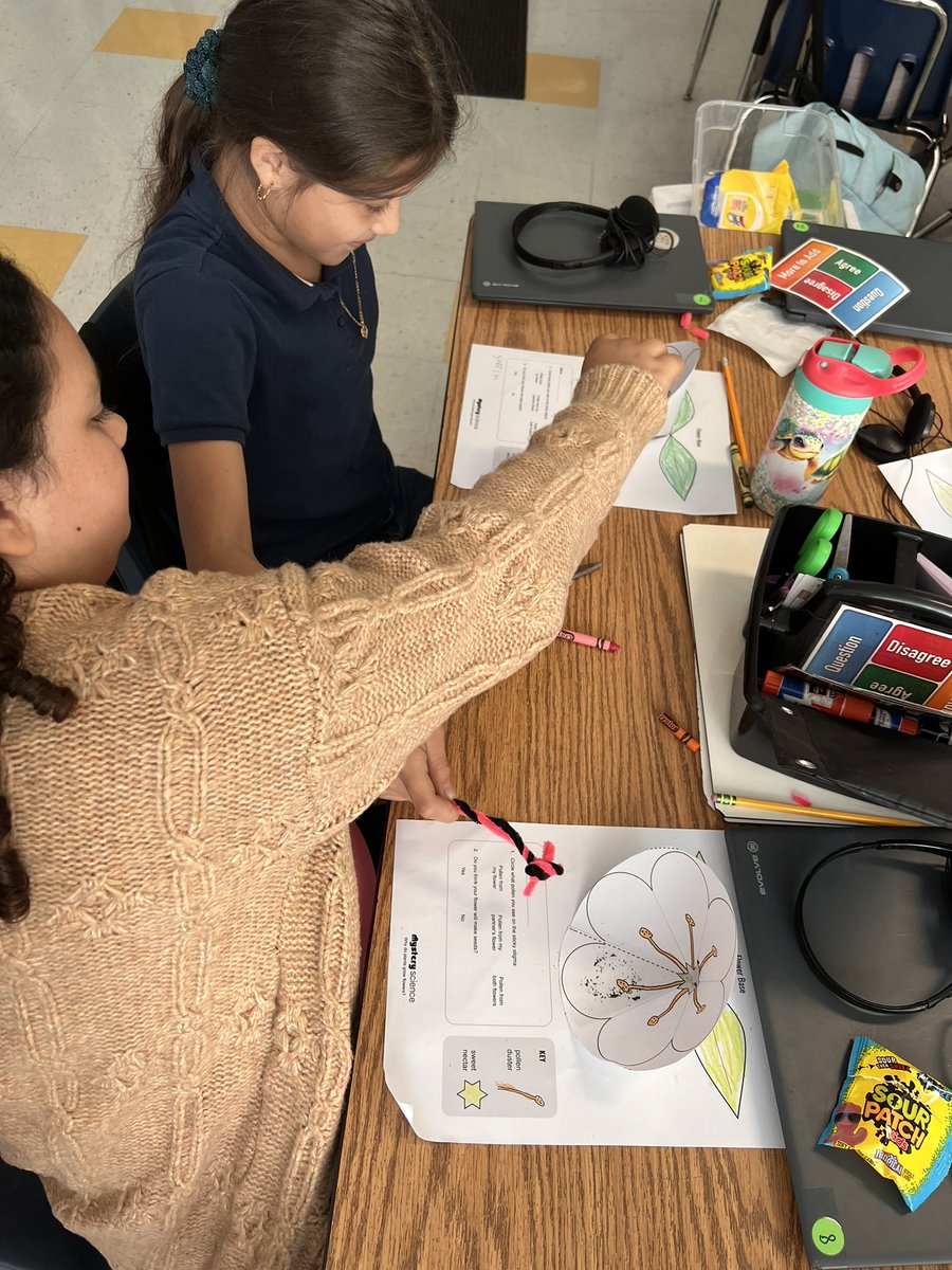 N_outsidethebox's tweet image. 4th gr Ss explore plant reproduction in this hands-on Mystery Science lesson. Their bees came out great! #plantreproduction #lifescience #sciencevocabulary @BrowardElem @Gifted_HCPS