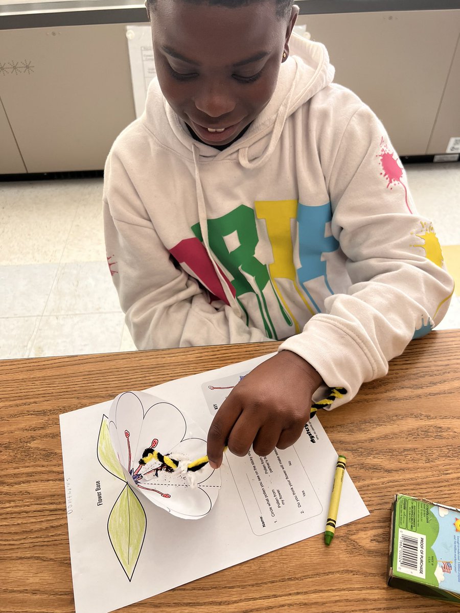 N_outsidethebox's tweet image. 4th gr Ss explore plant reproduction in this hands-on Mystery Science lesson. Their bees came out great! #plantreproduction #lifescience #sciencevocabulary @BrowardElem @Gifted_HCPS