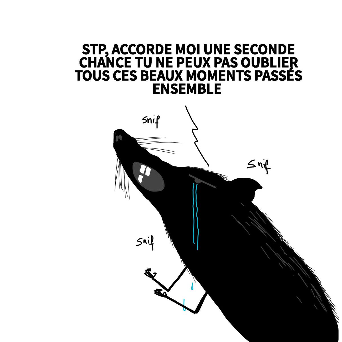 lestetes237's tweet photo. #lestetes237 - Rat à terre !

Stay safe peeps https://t.co/zZqJsFcFx1