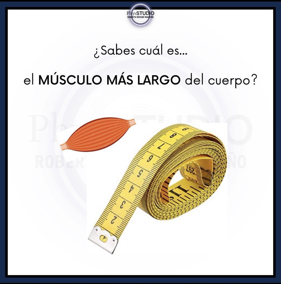 PhysStudio's tweet photo. Averígualo en el post de Instagram @physstudio !! 📏📐 🙌🏽😄 https://t.co/VF6QsWrRsH
