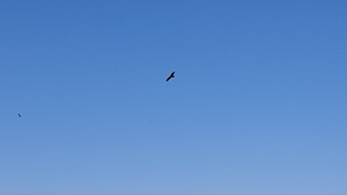 diegojromero's tweet photo. Imágenes desde el #monteMartel, conocido como "#monteGurugú", situado en el entorno natural de #LaPuebladelRío

En el horizonte se divisan distintas poblaciones de #ElAljarafe, pudiendo observarse las torres de #MairenadelAljarafe y  #TorrePelli 

#PuertadeDoñana 
#DiaDeLaTierra https://t.co/wtwUYvwUDI