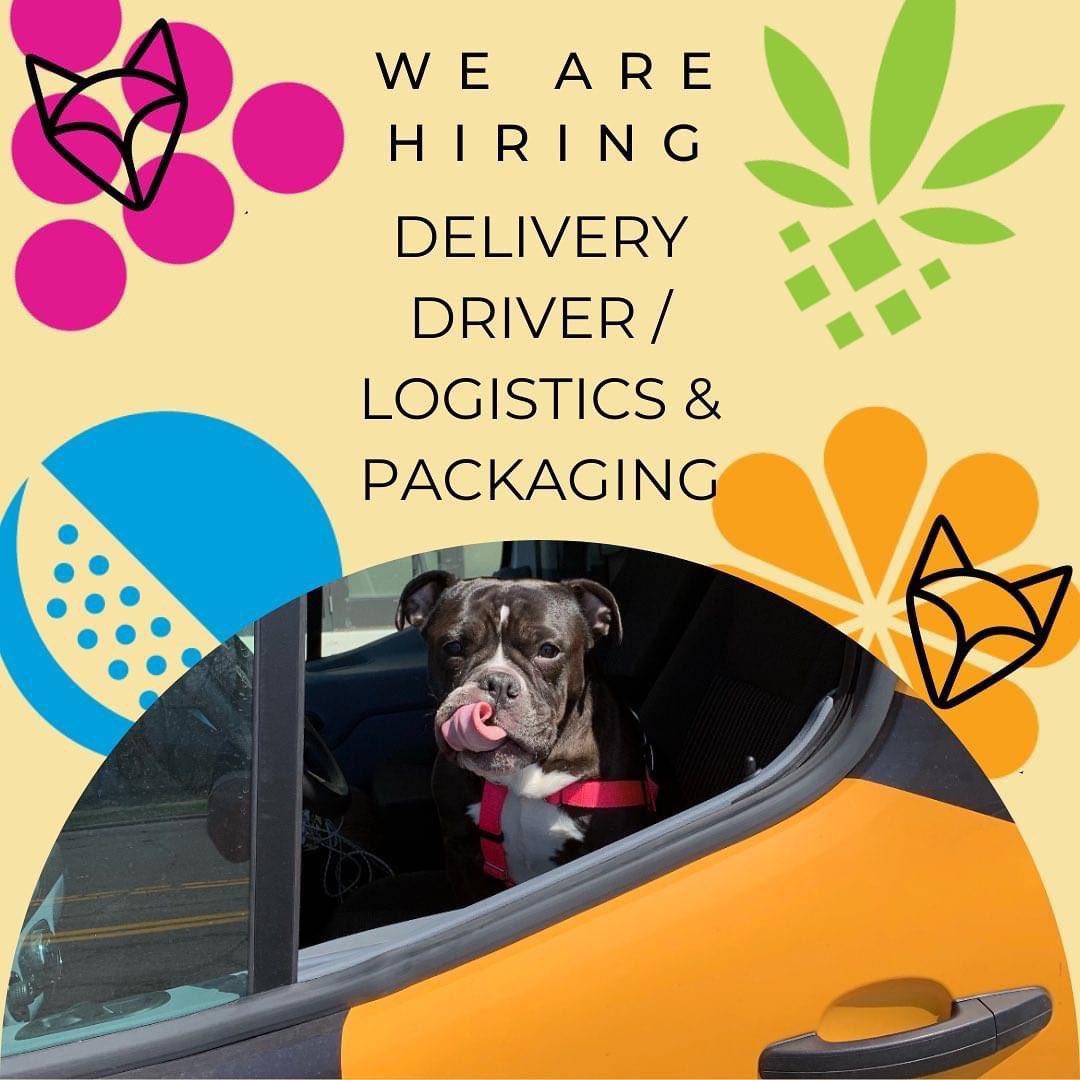 Venn is Hiring! Part Time Delivery Driver / Logistics & Packaging Job. FULL description at the link in our bio. Apply via ZipRecruiter or email resume and interest to info@vennbrewing.com *Cute dog not included