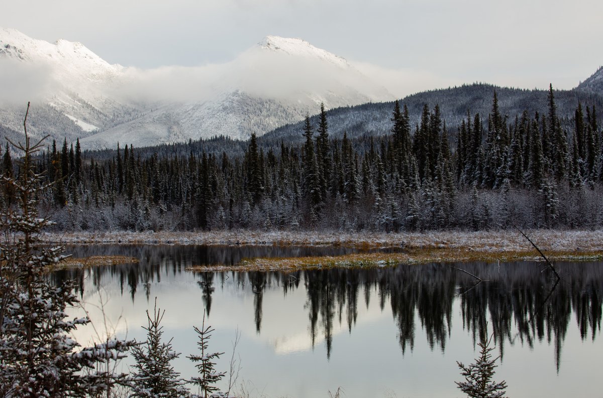 flyinBrian1911's tweet photo. @tammy_blakley Good morning from Alaska. https://t.co/CyWtwrJIbI
