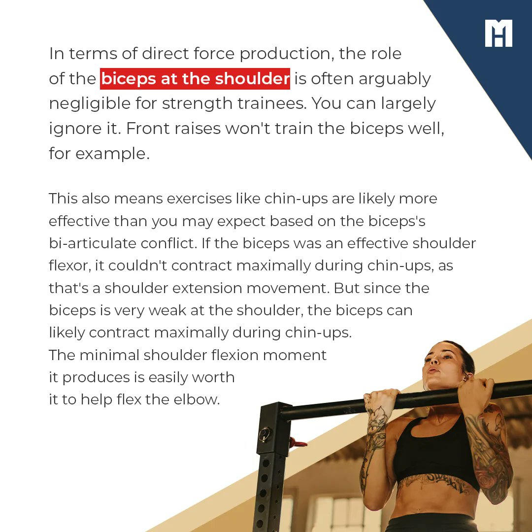 MennoHenselmans's tweet photo. Many sources portray the biceps brachii as an active shoulder flexor, as it crosses the joint, but there's much disagreement about the biceps's shoulder functions. 

#mennohenselmans #bicepsworkout #bicepsday #bicepsworkout #bicepscurl #armsday #armsworkout #armstraining https://t.co/d1PA4SgfmB