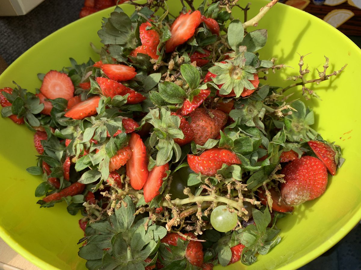 OperationFarm's tweet image. With aching backs &amp;amp; knees we bid a farewell to this year’s Stamford Park Spring Family Fun Day. The weather was very kind to us and as always thousands turned up. Cracking event. With special thanks to our volunteers Raff, Barbara &amp;amp; Claire. Much appreciated 🌱
Until next year !