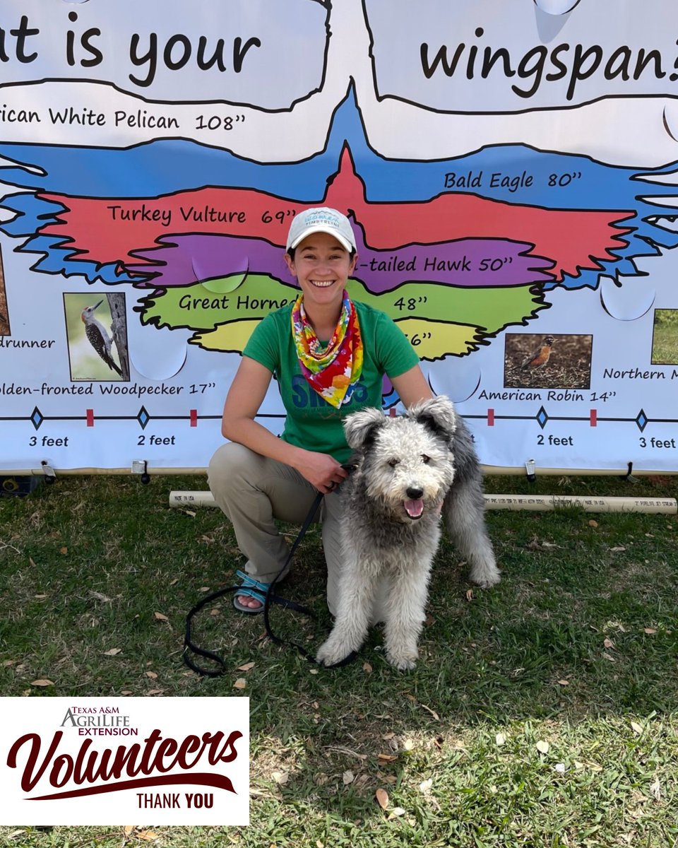 Across the state, there are more than 16,330 Master Naturalists.
Annabelle Moore shared how she found her family with <a href="/TexasMasterNat/">TX Master Naturalist</a> and was able to get plugged in with her community after moving to Texas. #VolunteerAppreciation

Continue reading: tx.ag/Moore