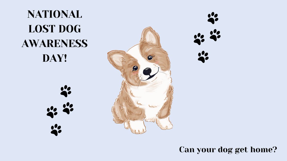 JaegerFDN's tweet photo. Today is National Lost Dog Awareness Day. #Didyouknow 1 in 3 pets will be lost at some point in their lived?! It is so important to make sure their ID tags and chip are up to date! 
#lostdog #pets #canine #nationalawarenessday https://t.co/zRSE4sbht2