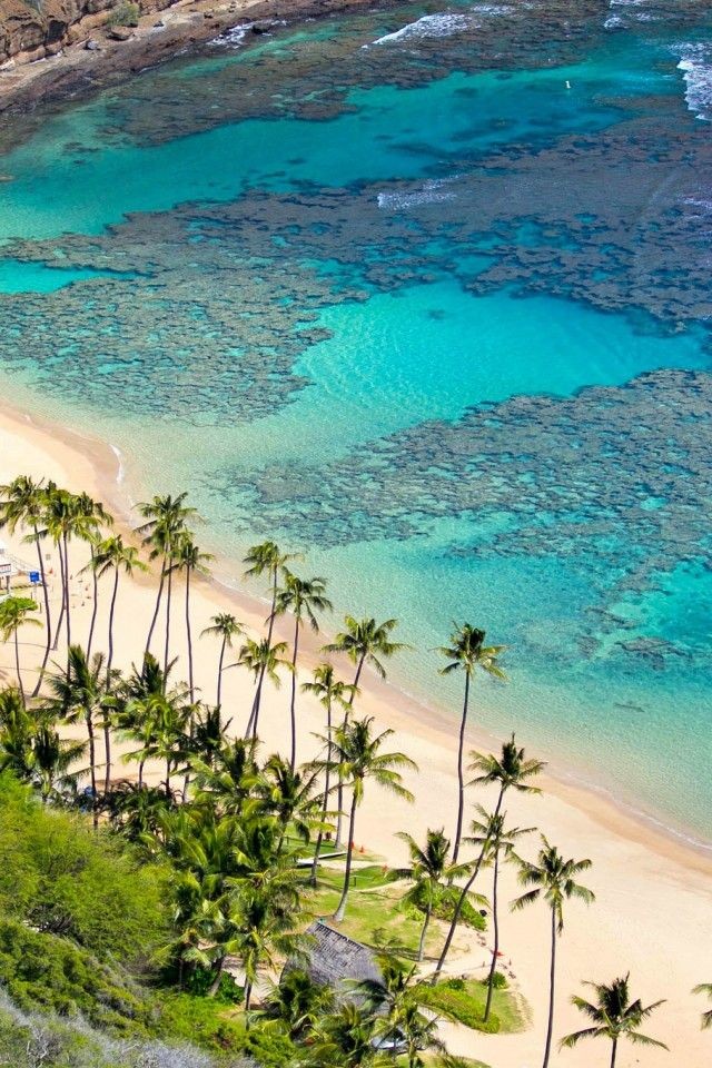 TravelDagger's tweet photo. Hawaii. 🇺🇸 https://t.co/2i5m5fbEwe