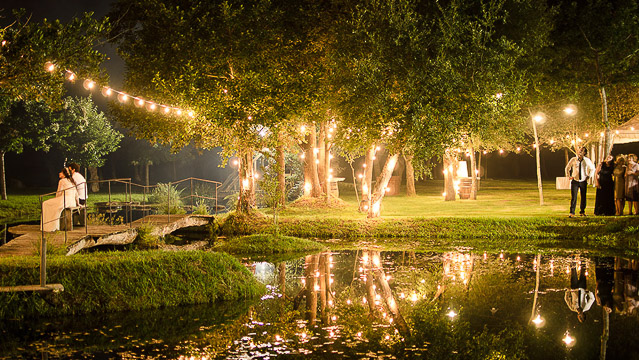 A todo Confetti tweet media