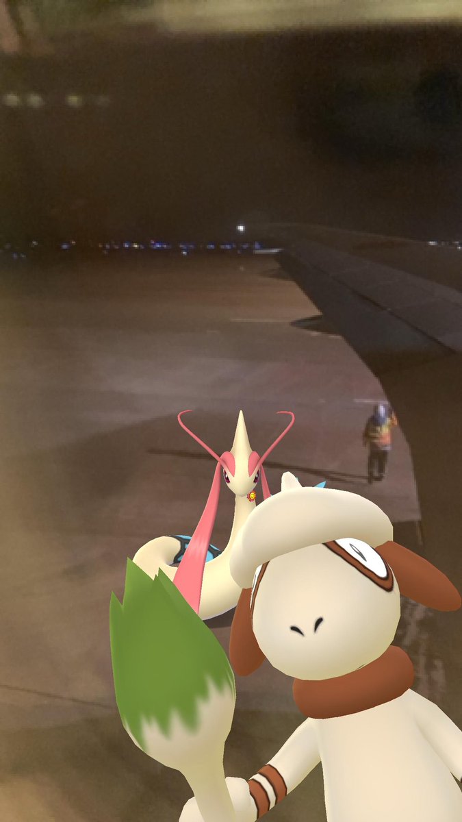 burreed_mik's tweet image. この飛行機はドーブルが整備しました！
#PokemonGO 
#go_snapshot  
#旭川空港
