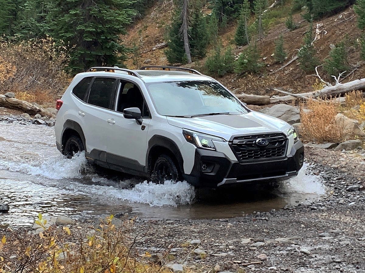 subaru_sb's tweet photo. Where did you take your Forester this weekend? #subaru https://t.co/410KwRMyzg