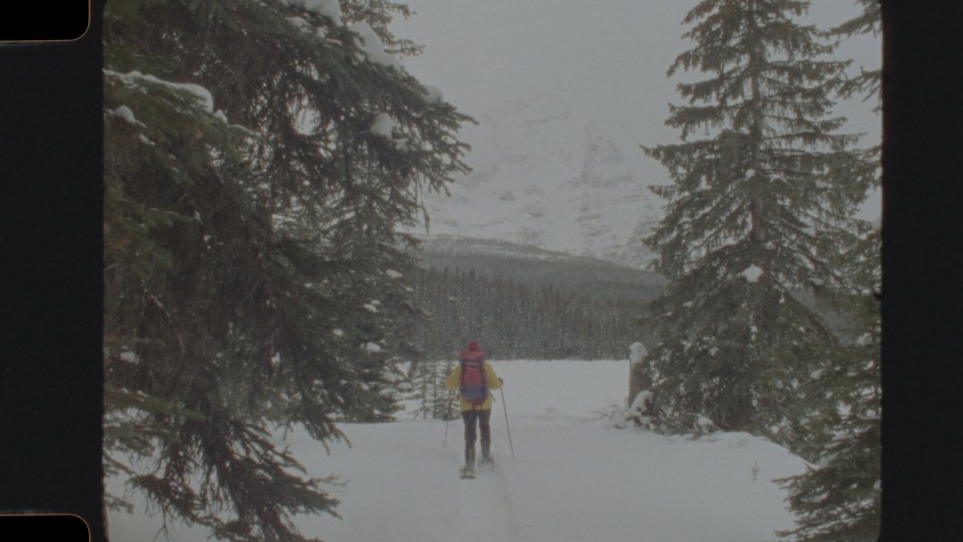 FrameDiscreet's tweet image. Recent work by Brjánn Batista Bettencourt
Timed &amp;amp; Flat versions
16MM Colour Film
brjann.com
 brjann
wafka
ryannehollies