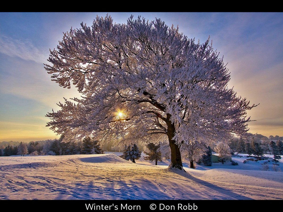 Our Set Subject LIGHT.  Graham Curry judging. Well done