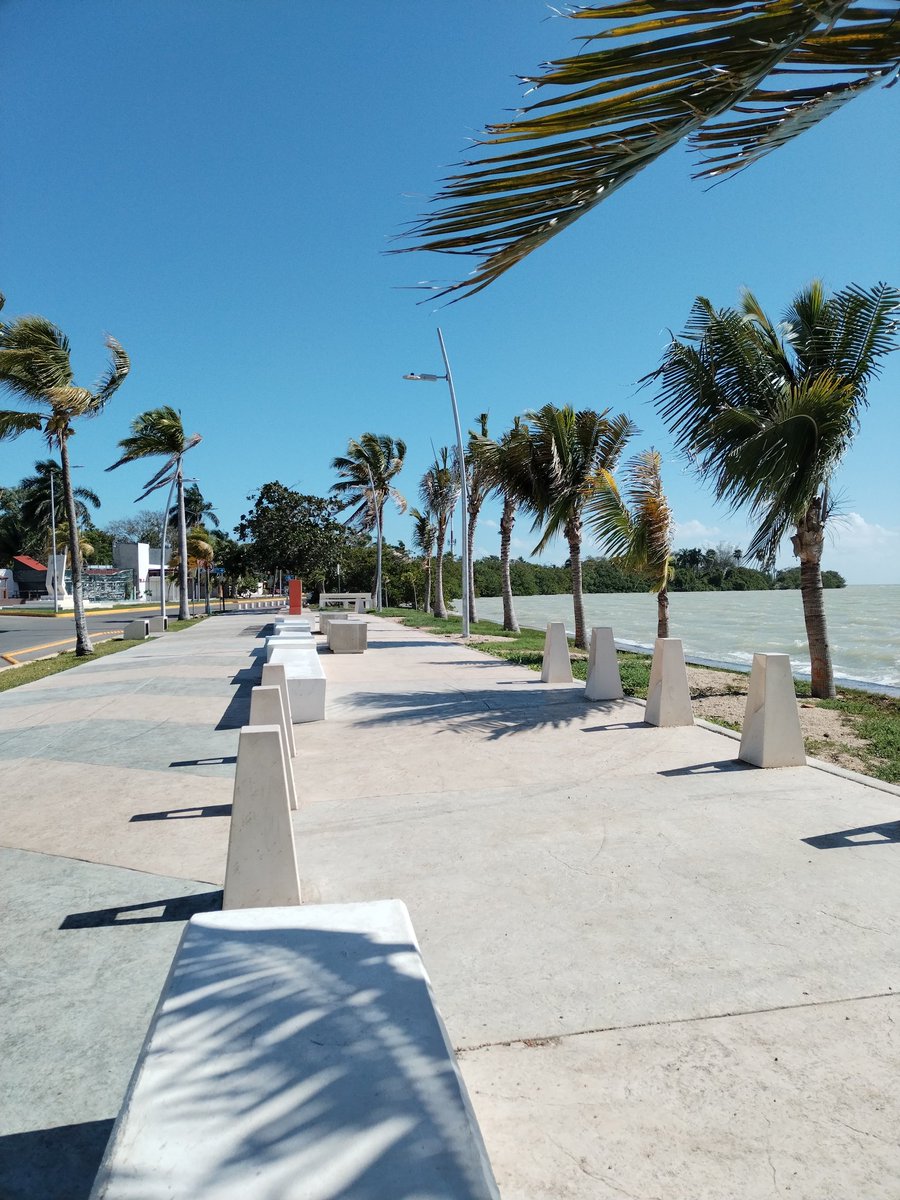 <a href="/MaraLezama/">Mara Lezama</a> <a href="/SECTUR_mx/">SECTUR México</a> <a href="/TorrucoTurismo/">MiguelTorrucoMarqués</a> Excelente oportunidad para la promoción turística de la Capital del Estado. #Chetumal #AquíIniciaMéxico #QuintanaRooPrimero <a href="/mapachestec/">@MAPACHESTec</a>