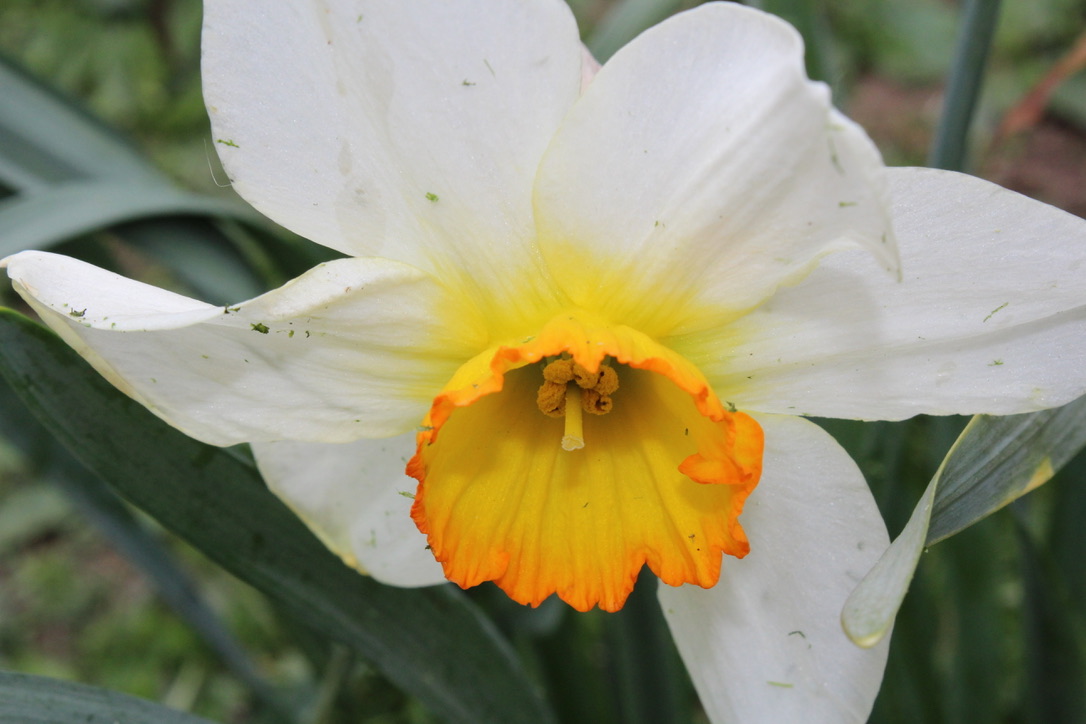 I seem to have a habit of tweeting a day late, but happy Earth Day, friends! May we live every day like it's Earth Day!