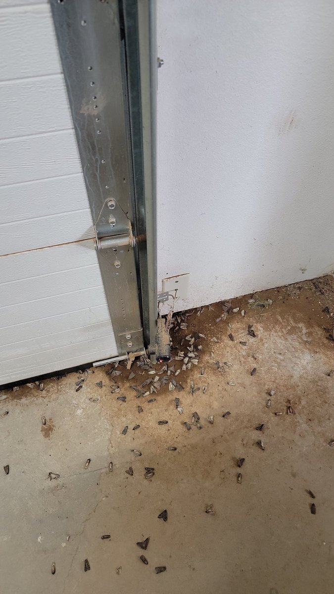 nspchris's tweet image. Got Miller ... bugs - because I sure do.