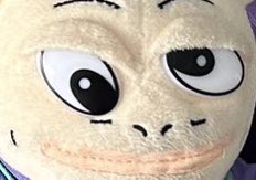 DMs so full

Back from Japan

Reading soon