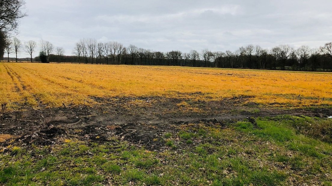 wdrvdweerd's tweet photo. Een bosje bloemen telt zo 15 soorten gif. Het platteland ziet geel van de glyfosaat, er leven amper nog insecten, parkinson tiert er welig.
We doden 640 miljoen dieren per jaar, blijven zitten met de stront en zeik. Nederland is agrarisch industrieterrein, dat moet zo BBBlijven. https://t.co/qj6ik3wlfa