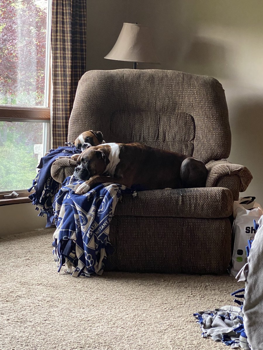 Lazy Sunday afternoons #boxers #boxerdogsoftwitter #dogsoftwitter #boxerlove