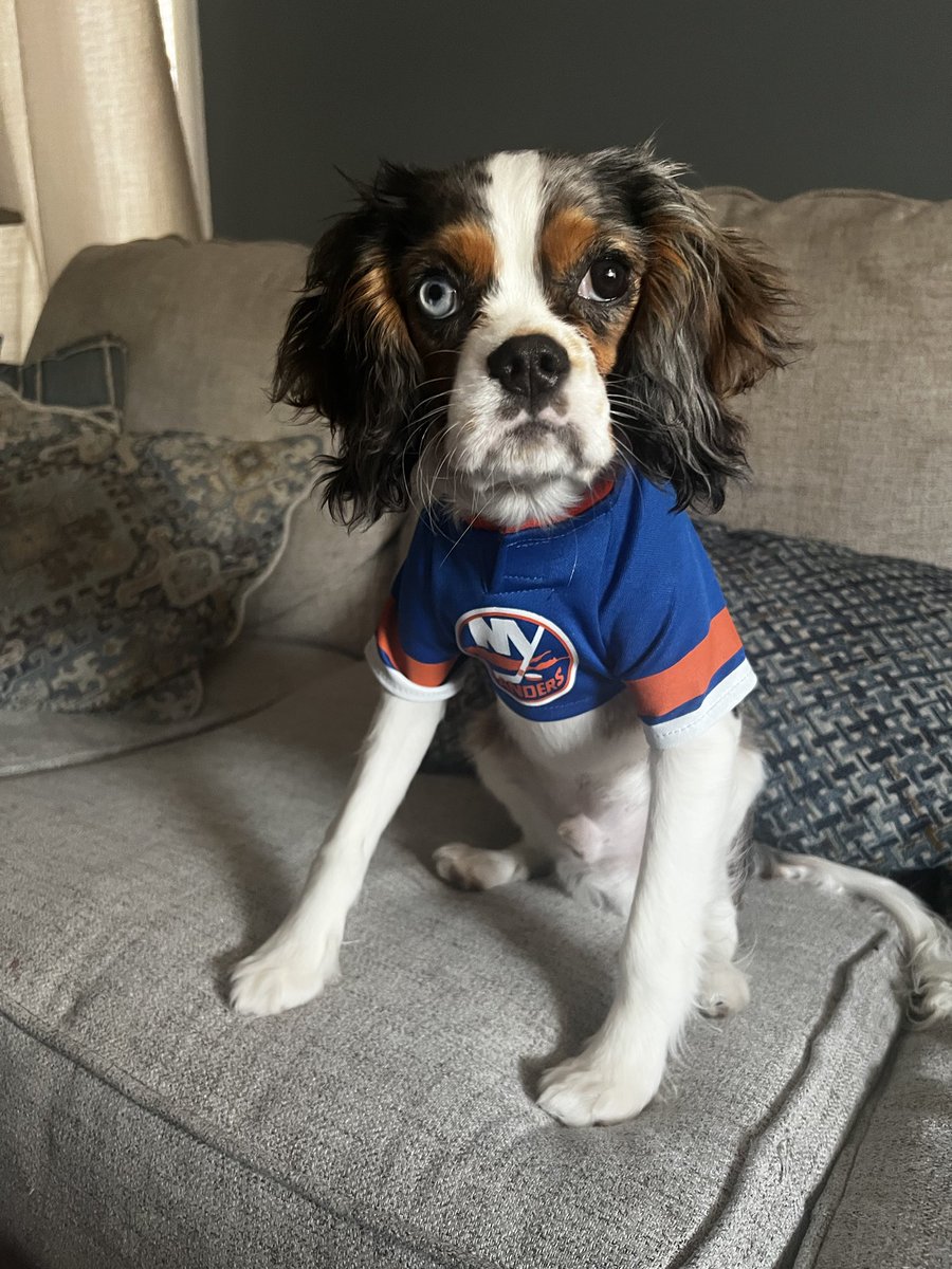 nottaaronn's tweet photo. Tully is ready #isles #islesnation #yesyesyes https://t.co/xxopo4xNWa