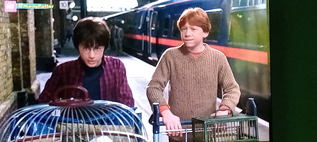 Gustavo232003's tweet photo. @AztecaSiete #HarryPotter y la camara secreta olcuta mis ganas de seguir viendo la peli con mis botanas y mi chesco. https://t.co/btC2UZLx0e