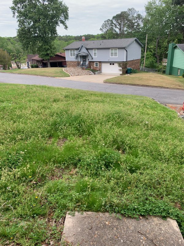 iamrodneysmith's tweet photo. Jayden of Little Rock ,AR who is taking part in our 50 yard challenge was back at it ! Lawn 38 for him ! 12 more to go ! https://t.co/c9xJlgiurP