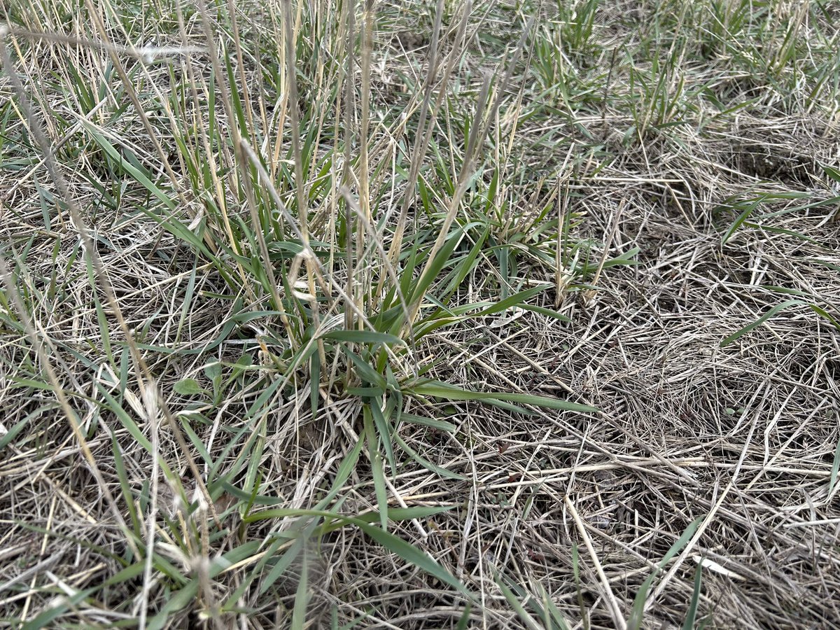 Ben Penner tweet media