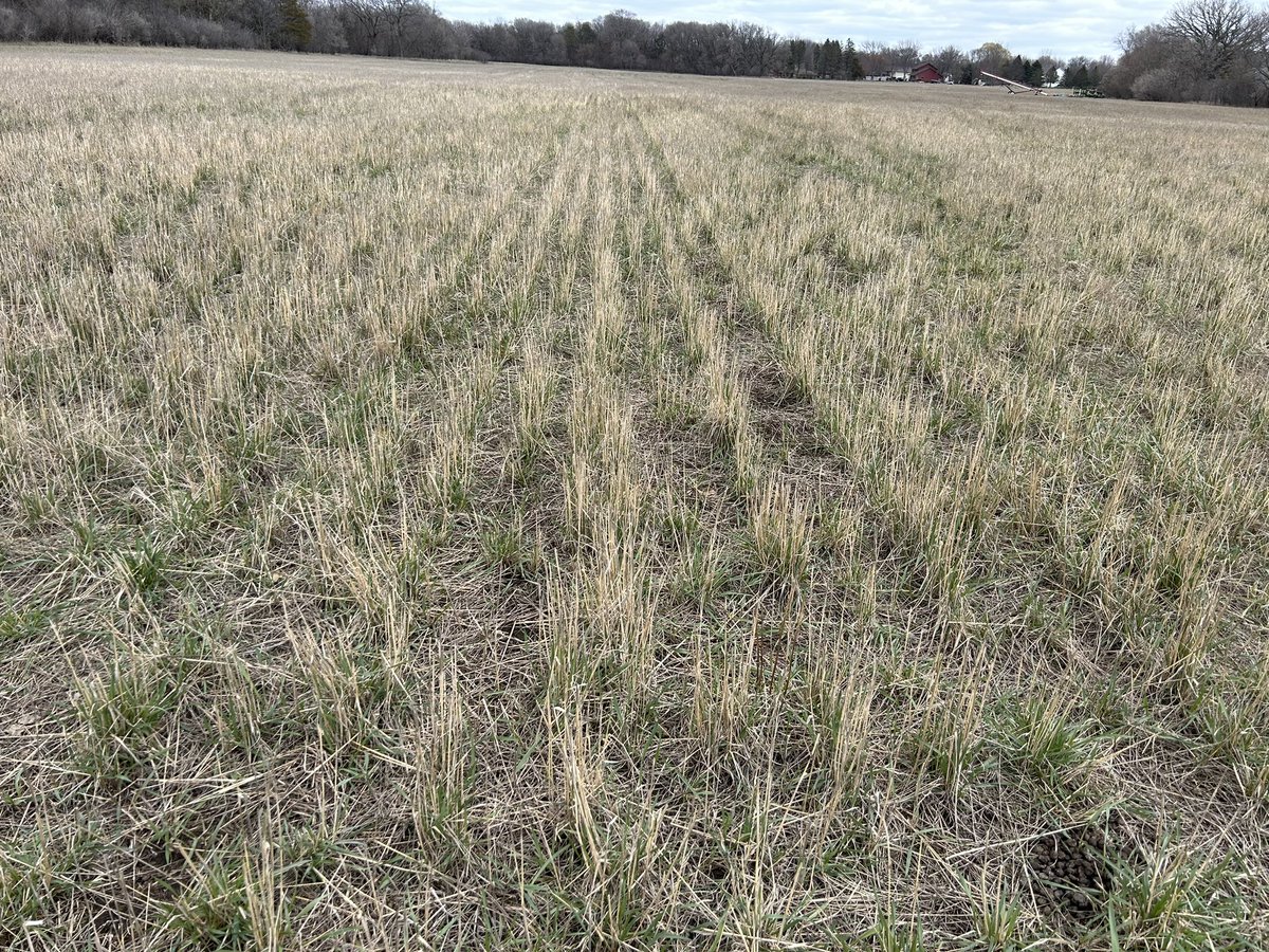 Ben Penner tweet media