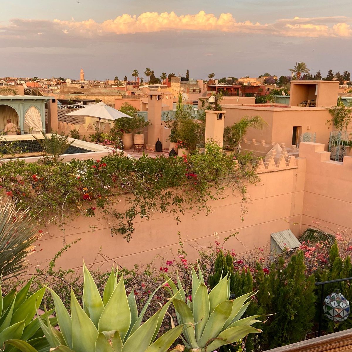 Linda Cabasin tweet media