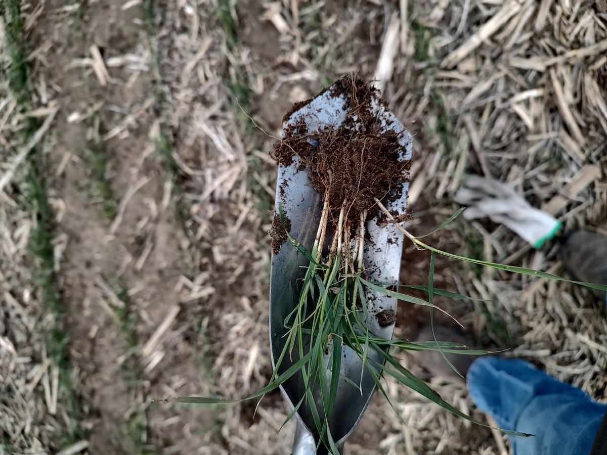 kenny reinke tweet media