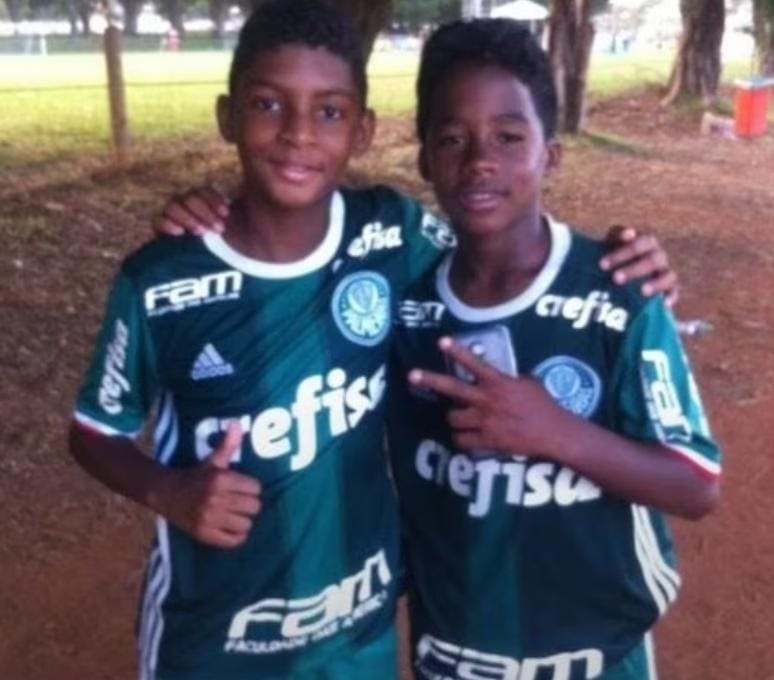 SE Palmeiras tweet media