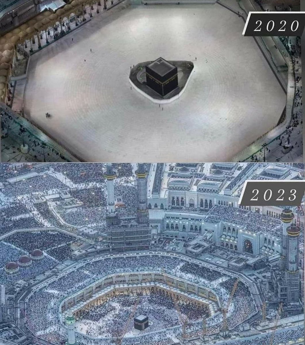 Umrah Companions tweet media