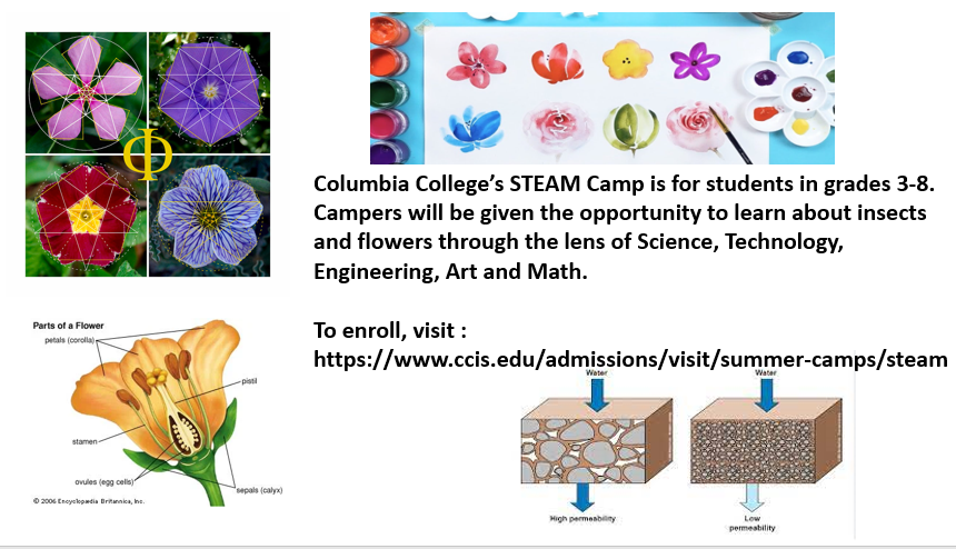 CPS_math's tweet image. Another great STEAM opportunity for kids this summer at Columbia College!